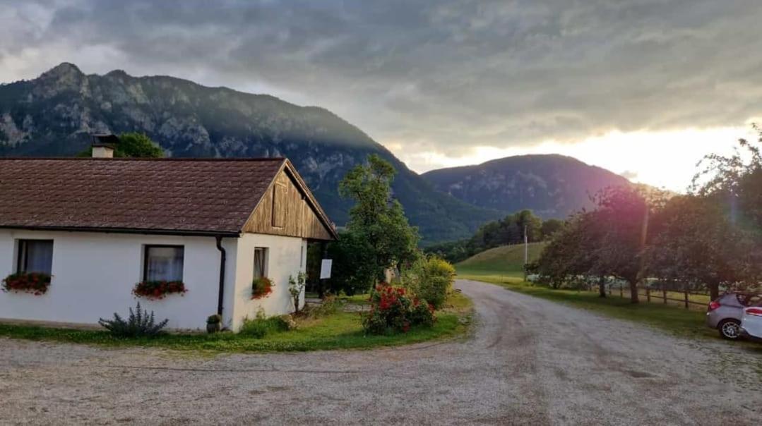 Leo-Hof Apartment Hirschwang Екстериор снимка