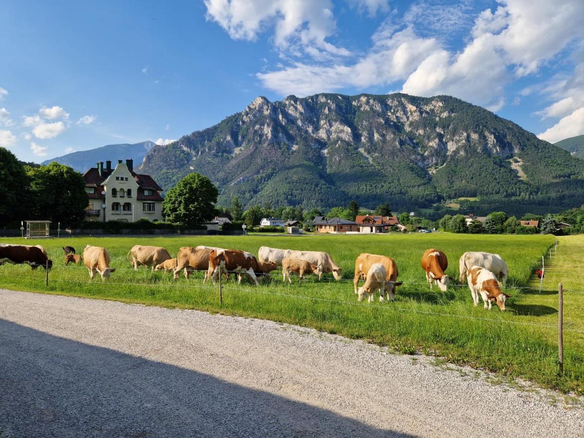 Leo-Hof Apartment Hirschwang Екстериор снимка