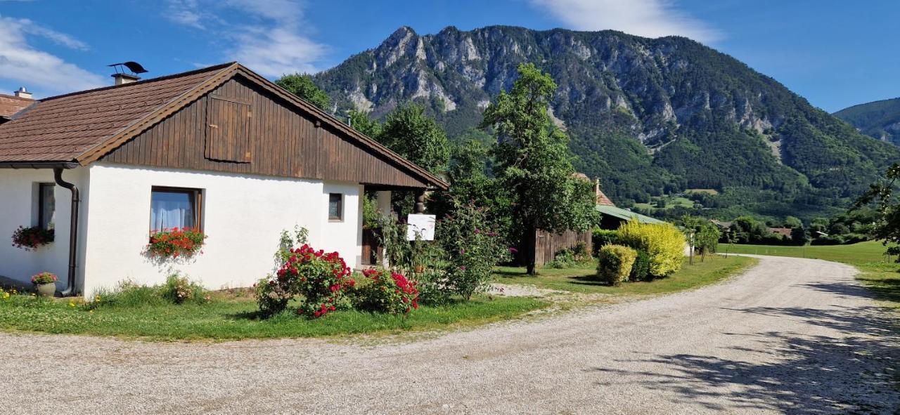 Leo-Hof Apartment Hirschwang Екстериор снимка